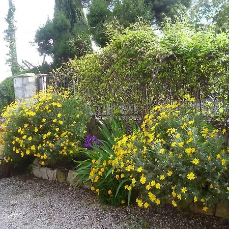 De Caractere Entre Nice Et Cannes *
